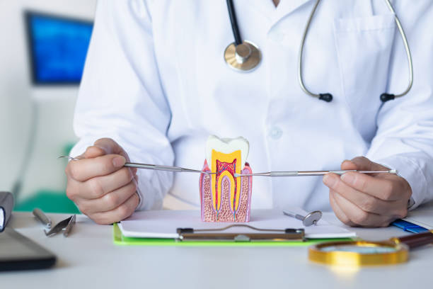 Best Dental Abscess Treatment in Andusia, AL